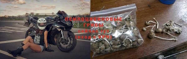 мдпв Мегион