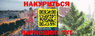 кокс Гатчина
