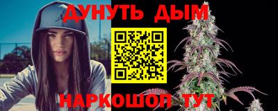 кокс Гатчина