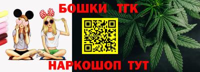 кокс Гатчина