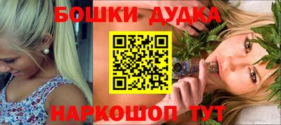 кокс Гатчина