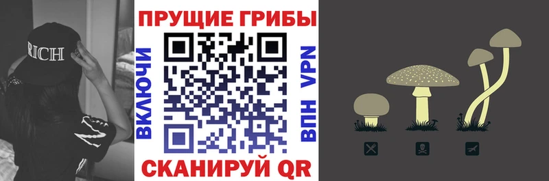 Галлюциногенные грибы прущие грибы  Мценск 