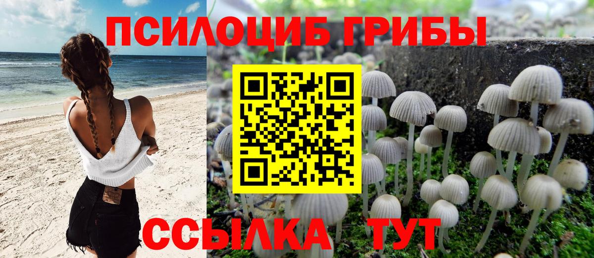 Галлюциногенные грибы Magic Shrooms Мценск